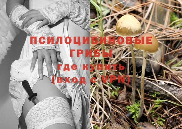 Альфа ПВП Богданович