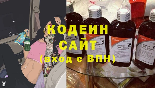 прущие грибы Бородино
