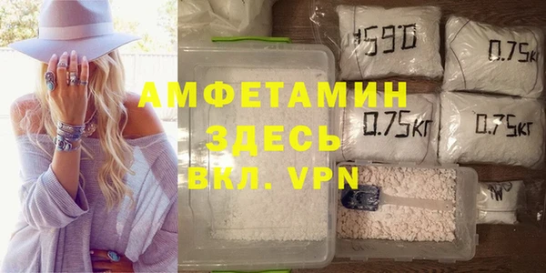 прущие грибы Бородино