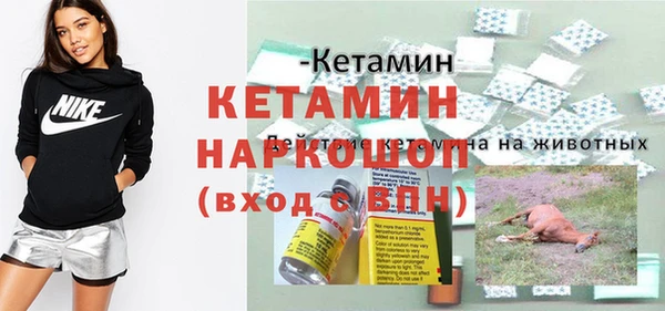 прущие грибы Бородино