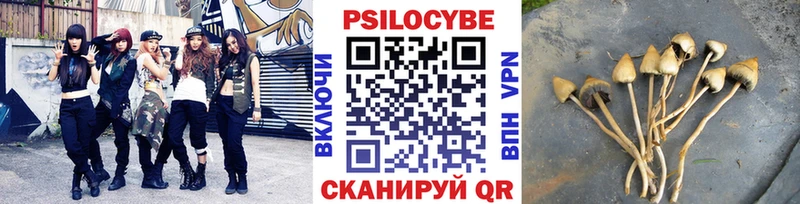 Галлюциногенные грибы GOLDEN TEACHER Горняк